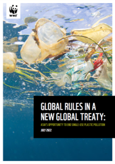 Cover: Global Rules in a New Global Treaty