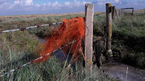 Foto von Dolly Ropes, die in einem Weidezaun an der Nordsee hängen