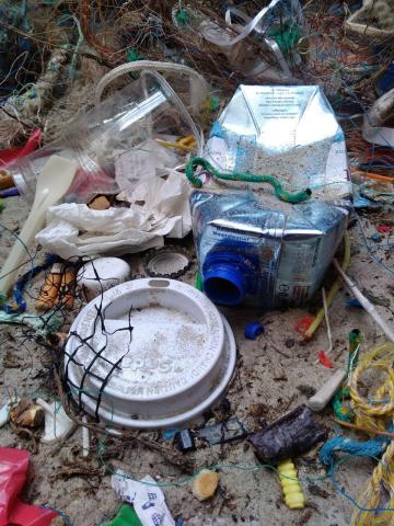 Abfälle aus Einwegplastik liegen im Sand. Unter anderem sind ein Deckel eines Coffee-to-go Bechers sowie ein Getränkekarton zu sehen. 